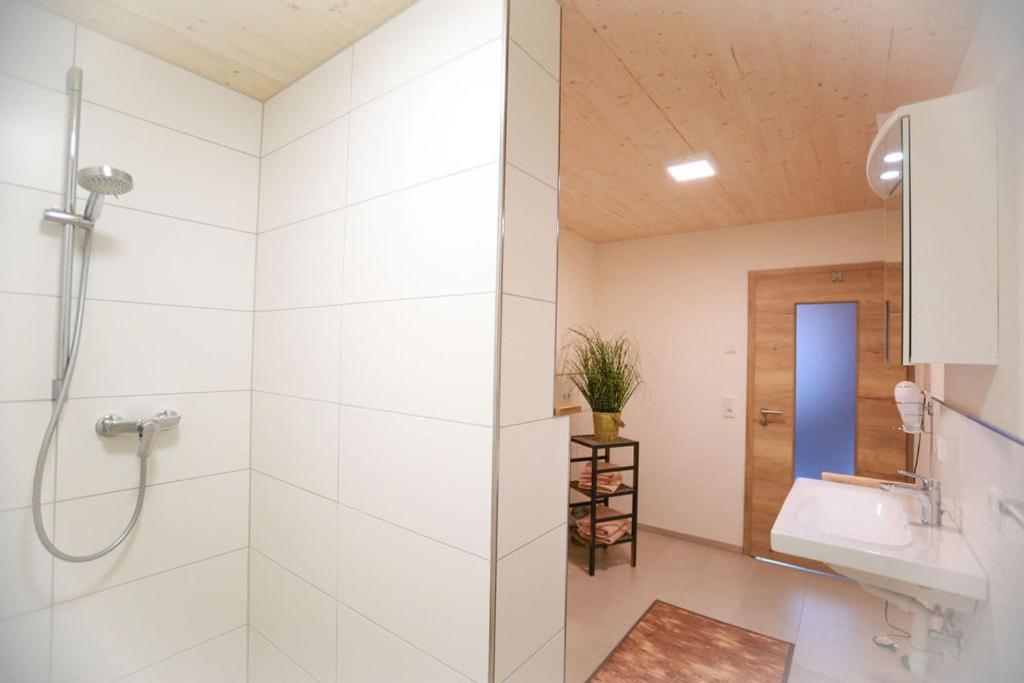 Daheim Im Geissetal St. Blasien Exterior foto