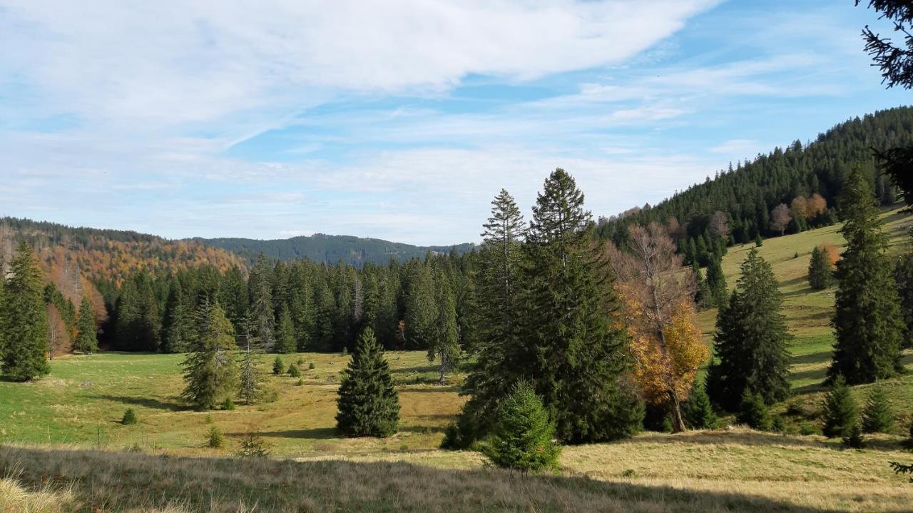 Daheim Im Geissetal St. Blasien Exterior foto
